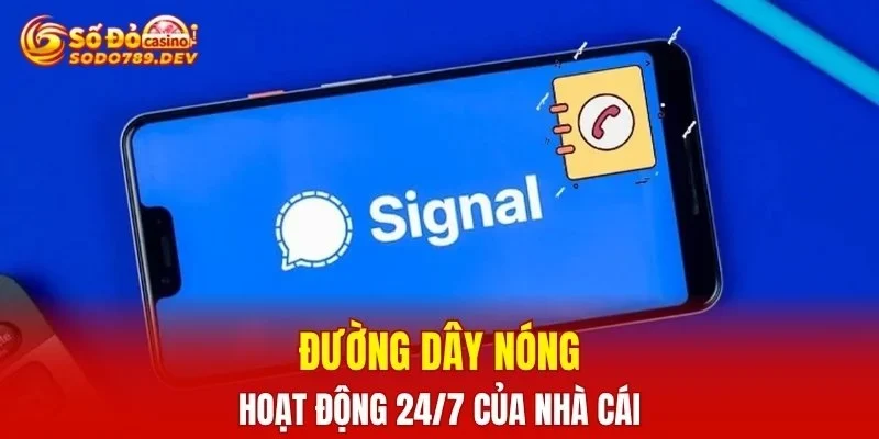 Đường dây nóng hoạt động 24/7 của nhà cái