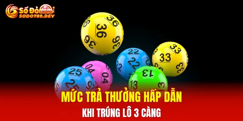 Mức trả thưởng hấp dẫn khi trúng lô 3 càng