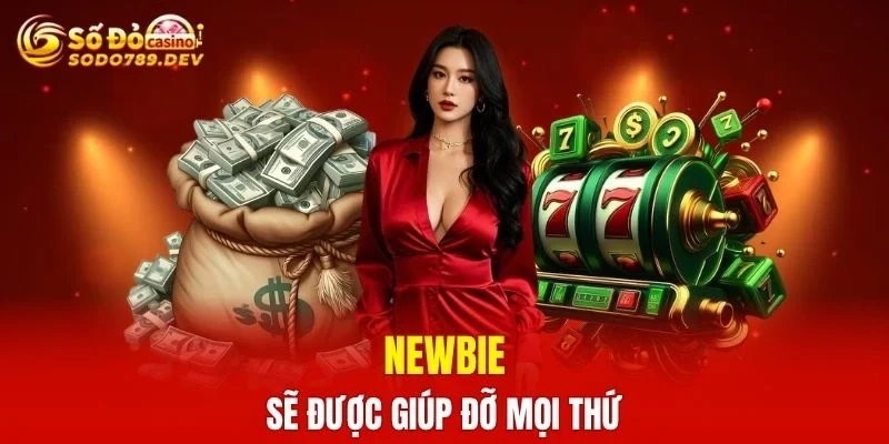 Newbie sẽ được giúp đỡ mọi thứ